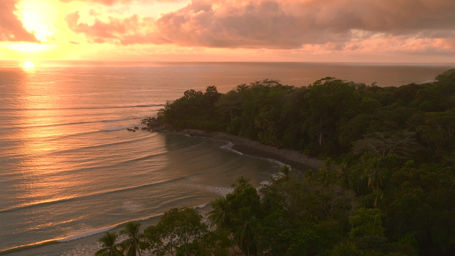 Sunset over the Pacific and the forested point.