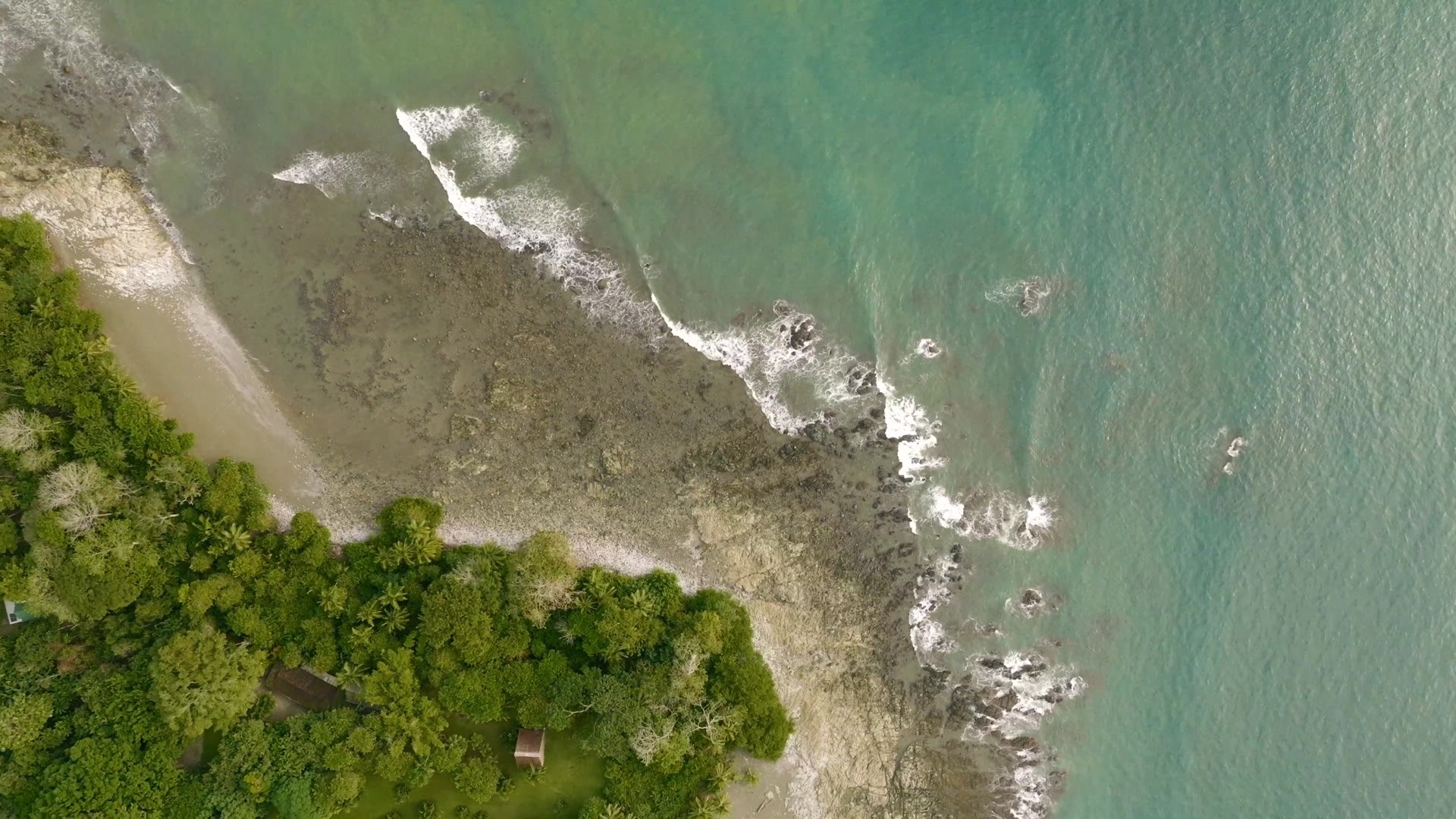The shoreline from above, forest meeting surf.