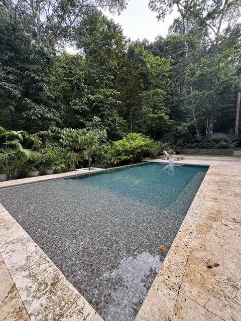 The forest pool