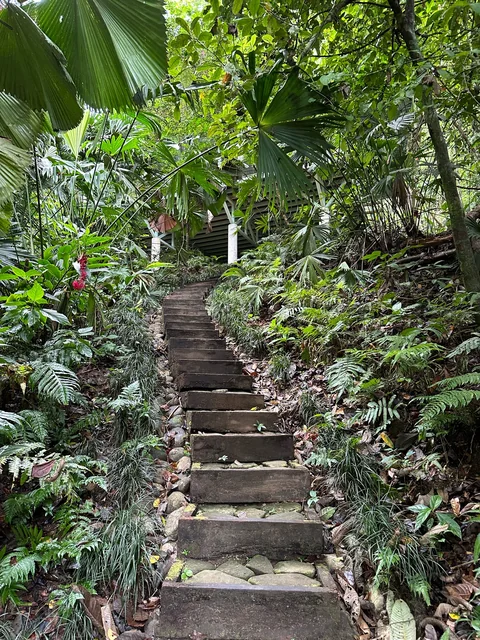 Through the grounds