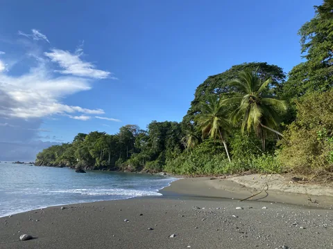 Encanta La Vida · The beach.