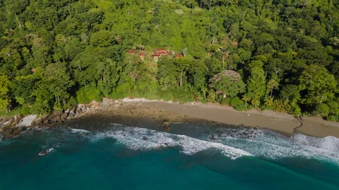 The red-roofed estate in the rainforest above the shoreline, seen from the sea.