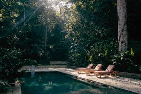 Osa Clandestina · The forest pool.