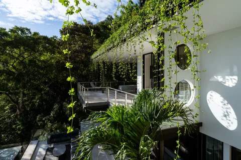 La Chicharrita · The residence.