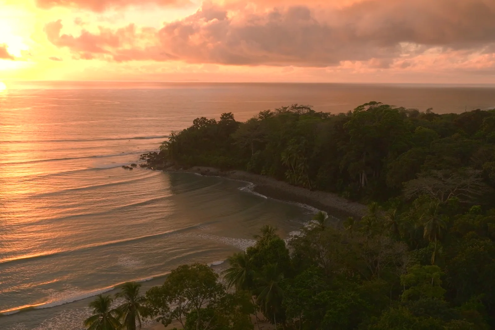 Sunset over the Pacific and the forested point.